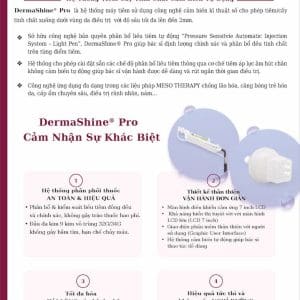 MESO THERAPY DERMASHINE® PRO (1)